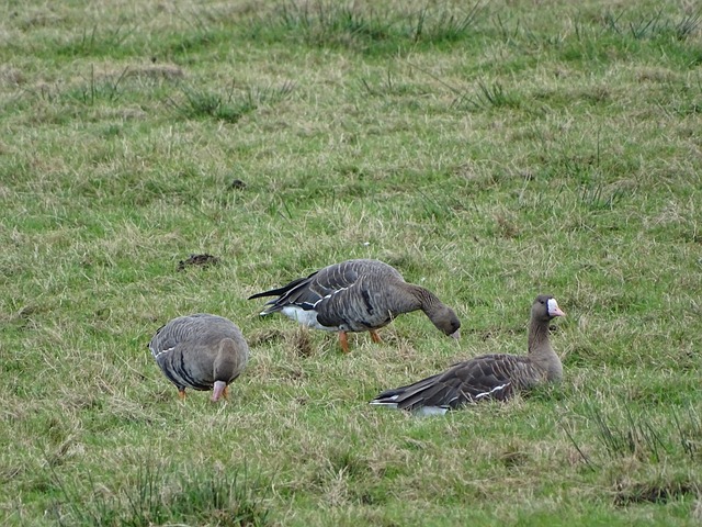 球员状态良 球员状态良