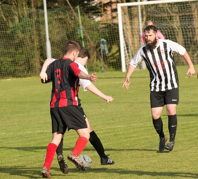 更是一次全 更是一次全