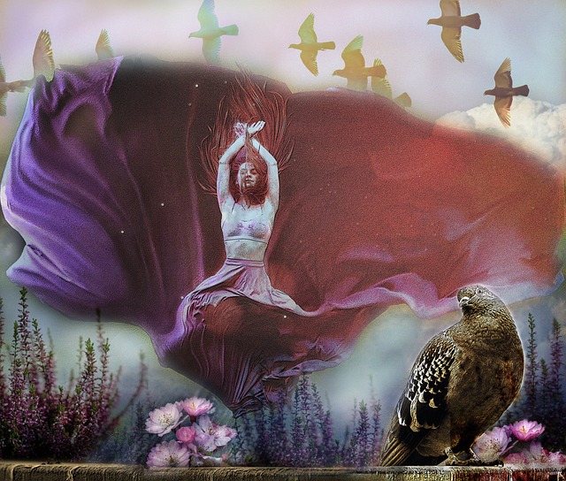 卫冕冠军 卫冕冠军