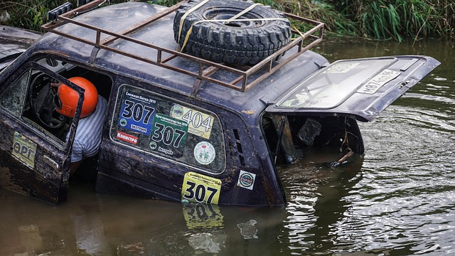 子不仅展示 子不仅展示