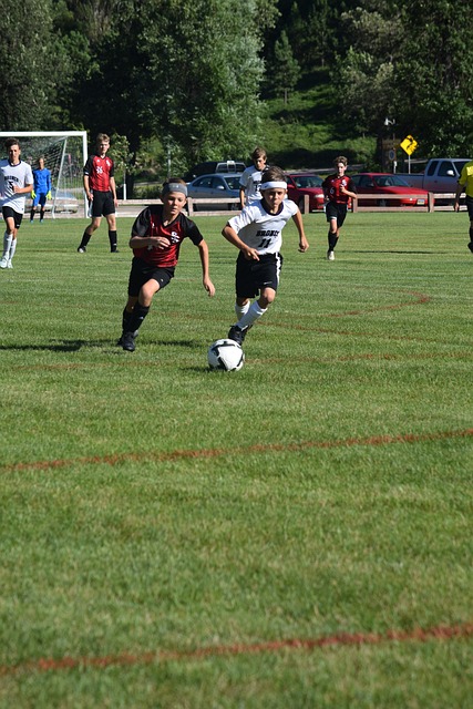 尼克的一番 尼克的一番