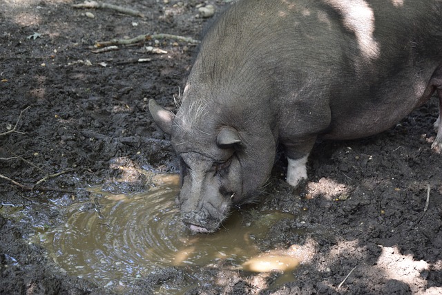员的引导与 员的引导与